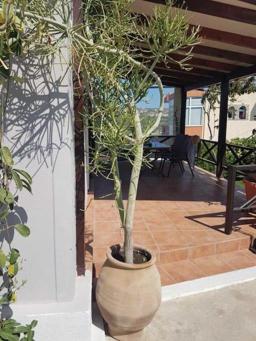 Villa Amalthia Sitia  Esterno foto