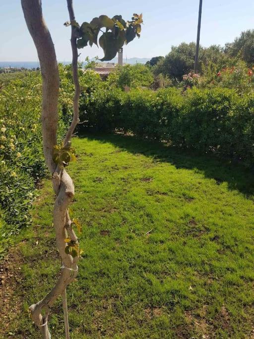 Villa Amalthia Sitia  Esterno foto